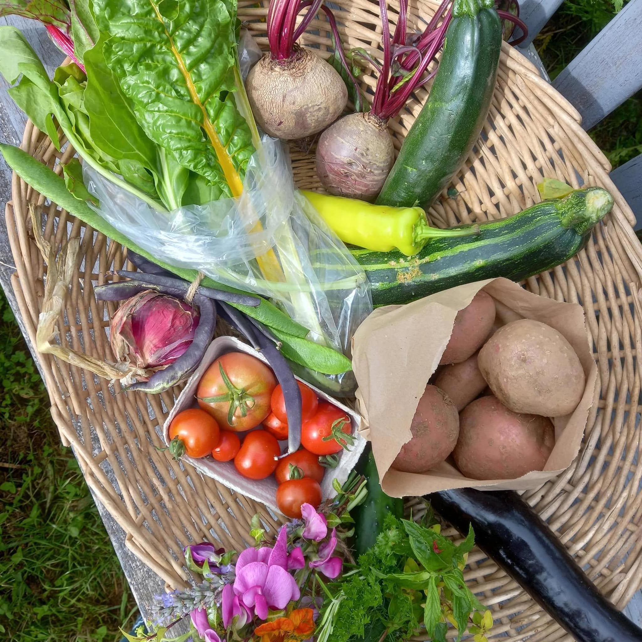 Veg Bag - Small
