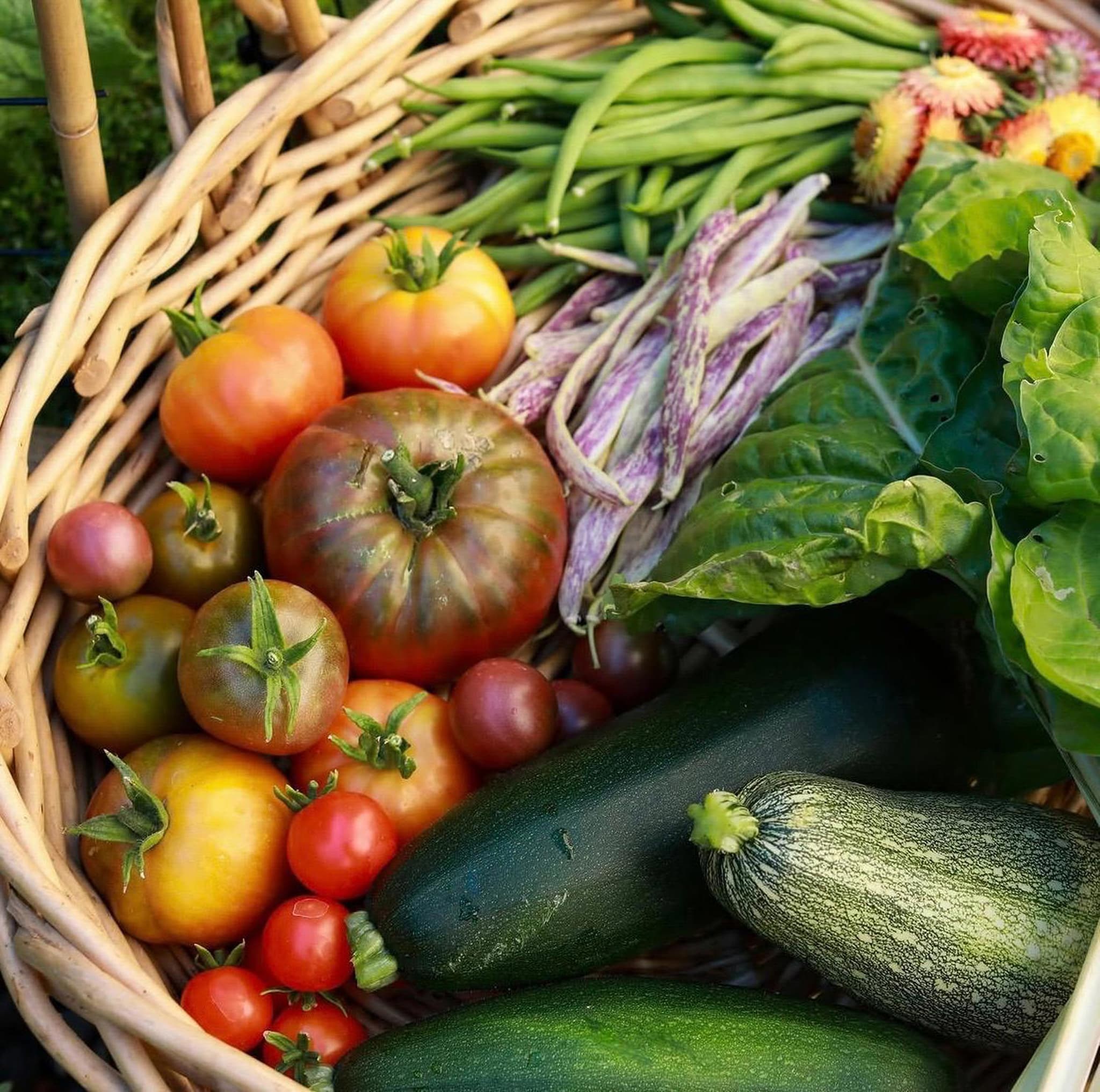 Veg Bag - Well Fed